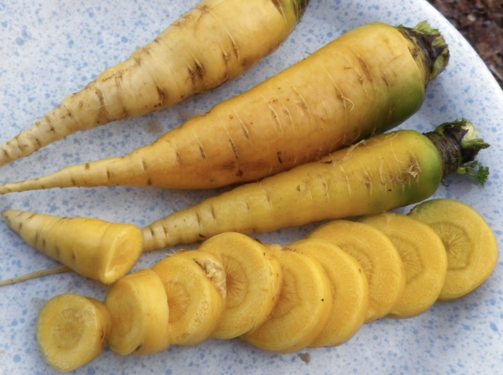 Yellowstone carrots on a plate